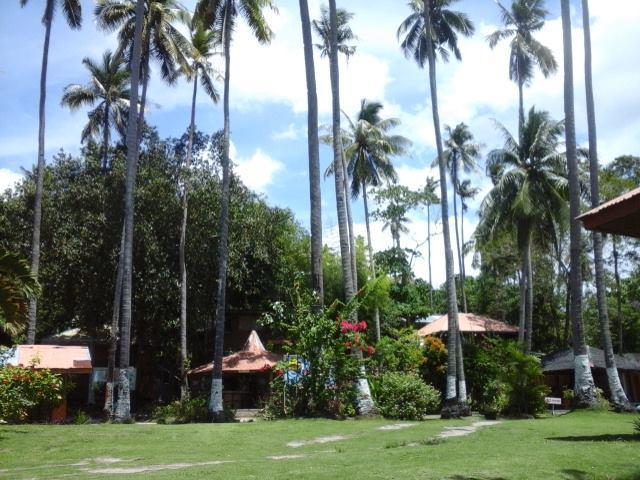 Punta Del Sol Araceli Beach Resort ซามาล ภายนอก รูปภาพ
