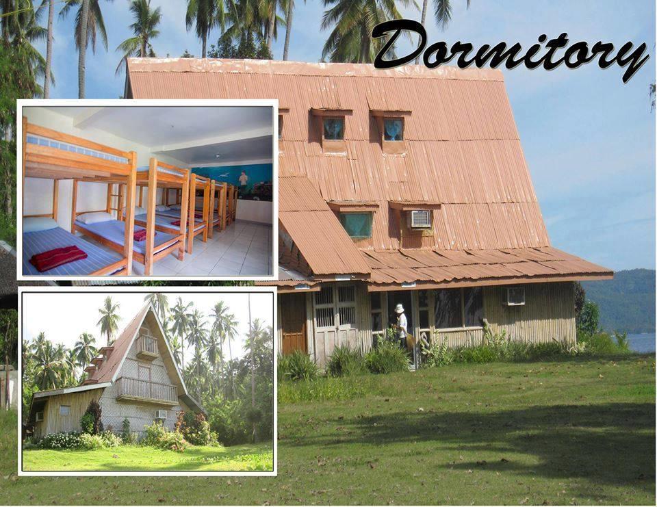 Punta Del Sol Araceli Beach Resort ซามาล ภายนอก รูปภาพ